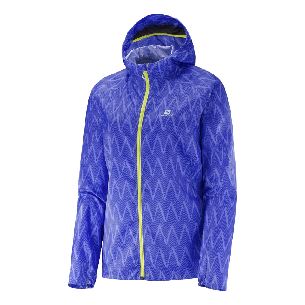 Salomon Fast Wing Graphic Hoody Femme